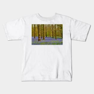 Bluebell Woods Greys Court Oxfordshire UK Kids T-Shirt